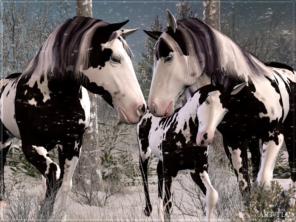 Cute Horse Christmas Backgrounds - HD Wallpaper 