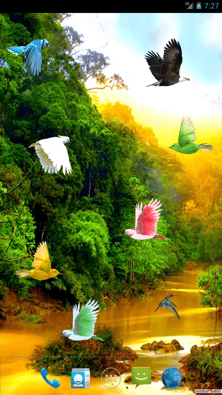 Hd Live Nature Bird Wallpaper Down - 720x1280 Wallpaper Hd Live Nature Bird Wallpaper Down - 720x1280 Wallpaper