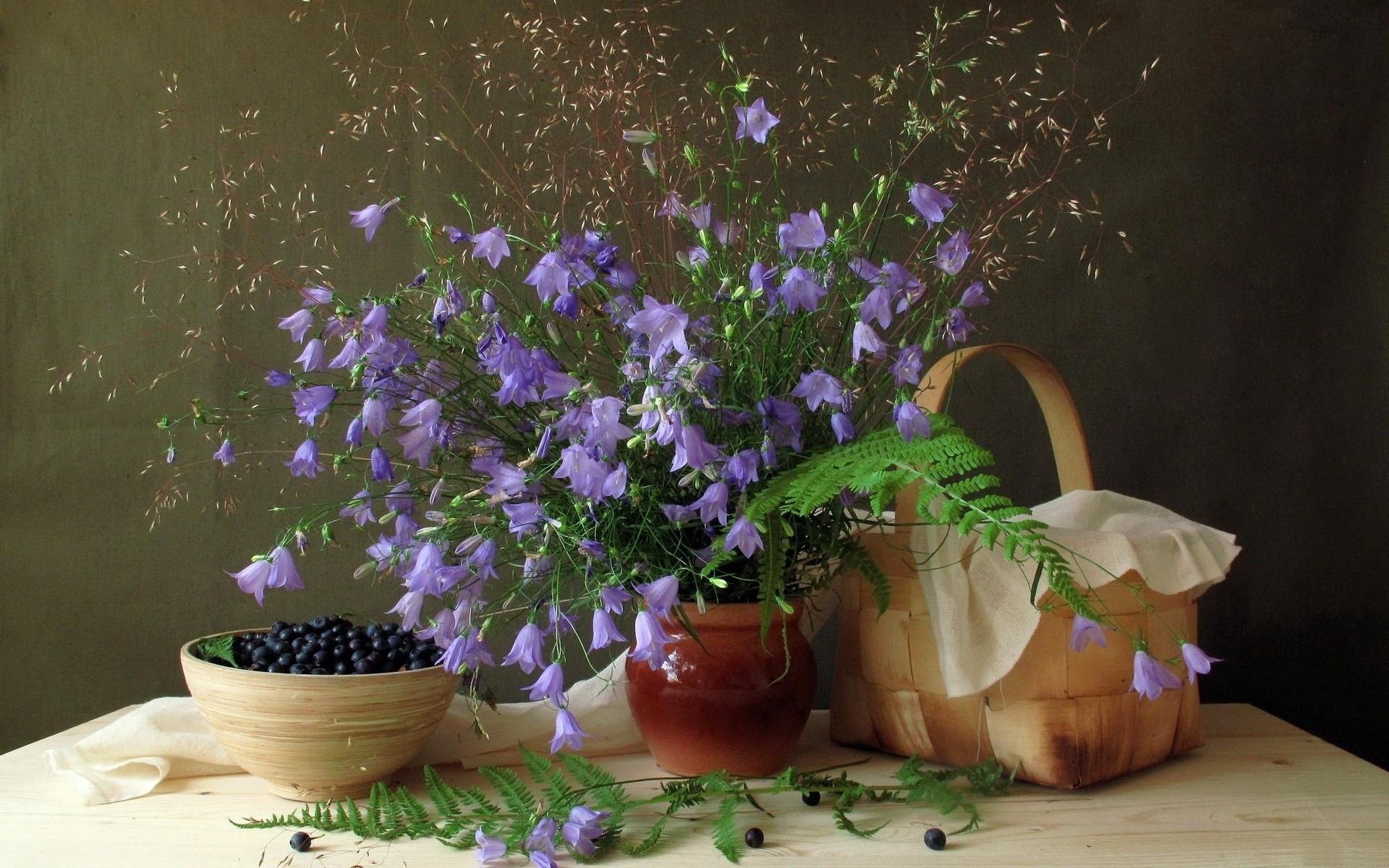 Hd Blueberries Life Flowers Pot Vase Food Rustic Pictures - Free Wallpapers Flower Pot - HD Wallpaper 