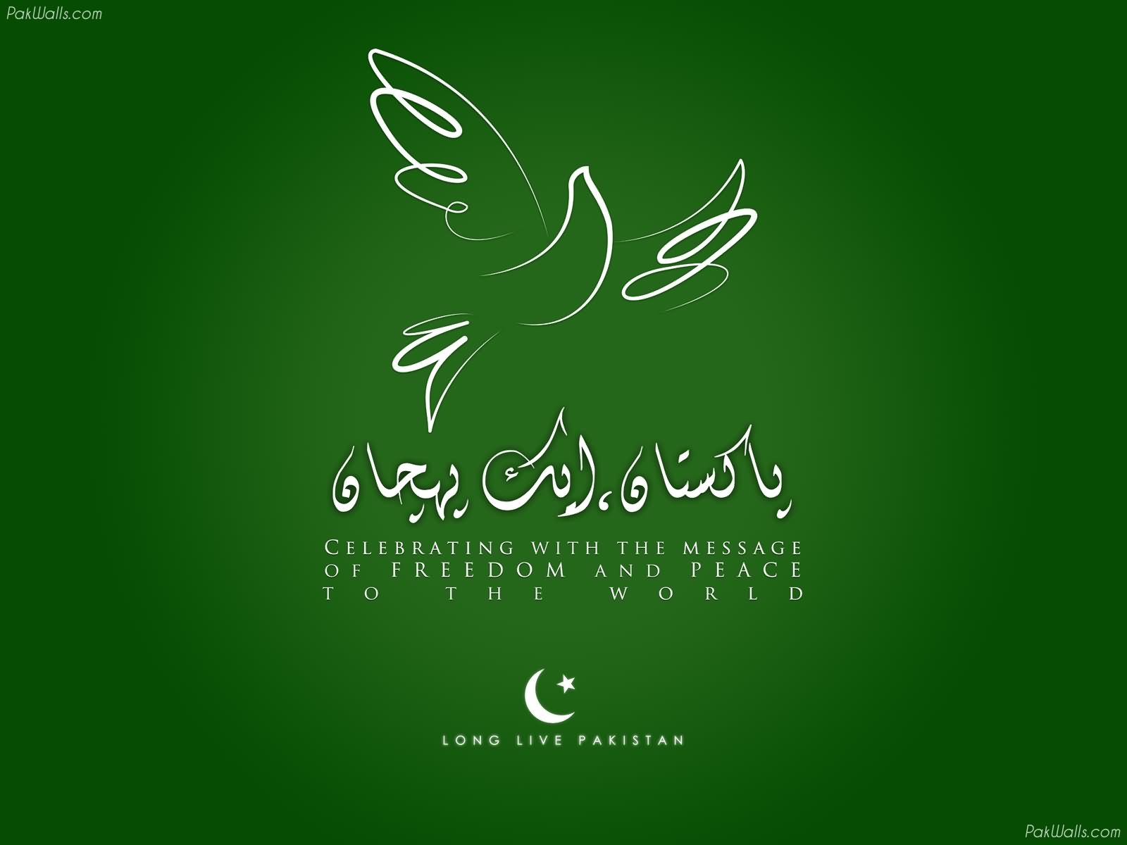 Pakistan Zindabad Wallpaper - HD Wallpaper 