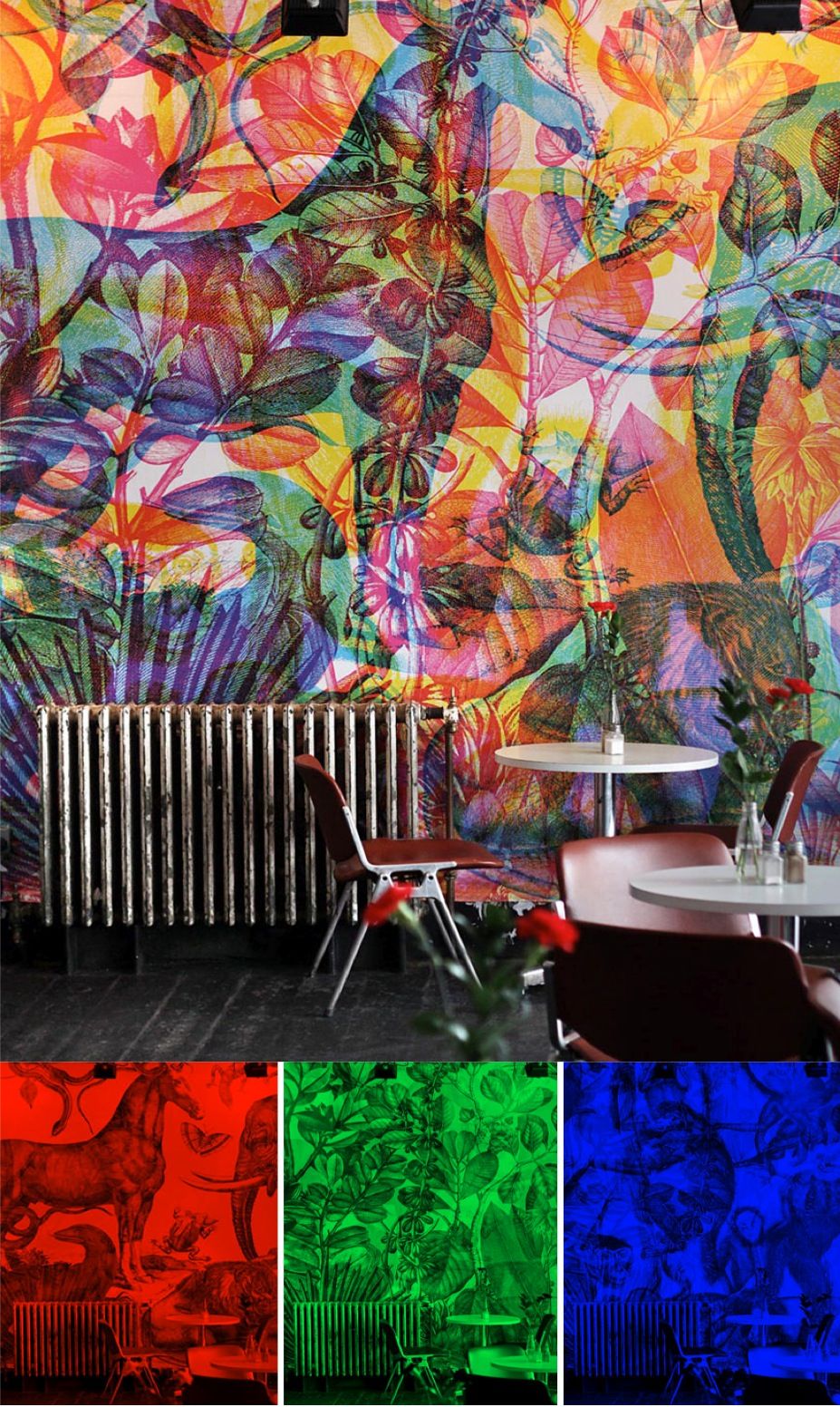 Dreambags Jaguarshoes - HD Wallpaper 