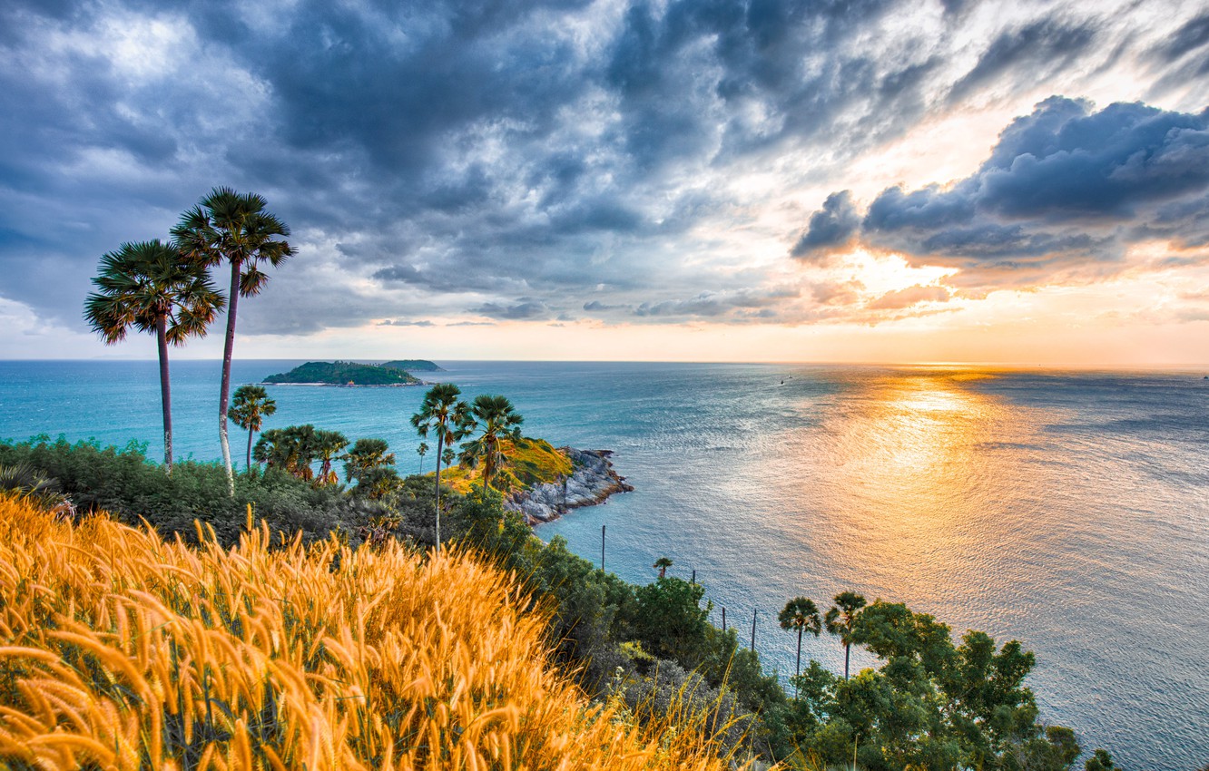 Photo Wallpaper Sunrise, Palm Trees, The Ocean, Dawn, - High Resolution Phuket Hd - HD Wallpaper 