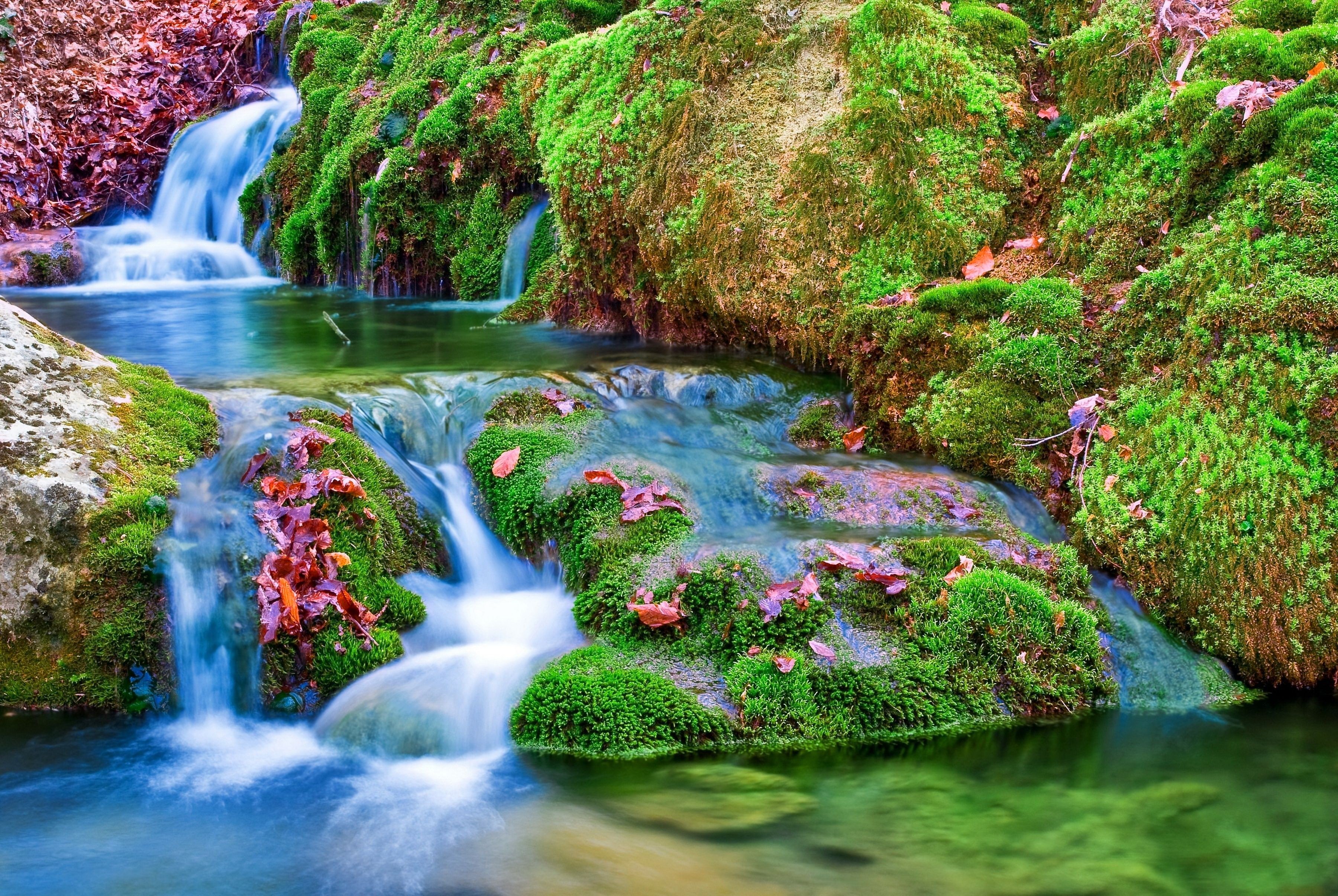 Cascada Selva Vegetacion Naturaleza - Background Waterfall Flowers 4k Wallpaper Nature - HD Wallpaper 