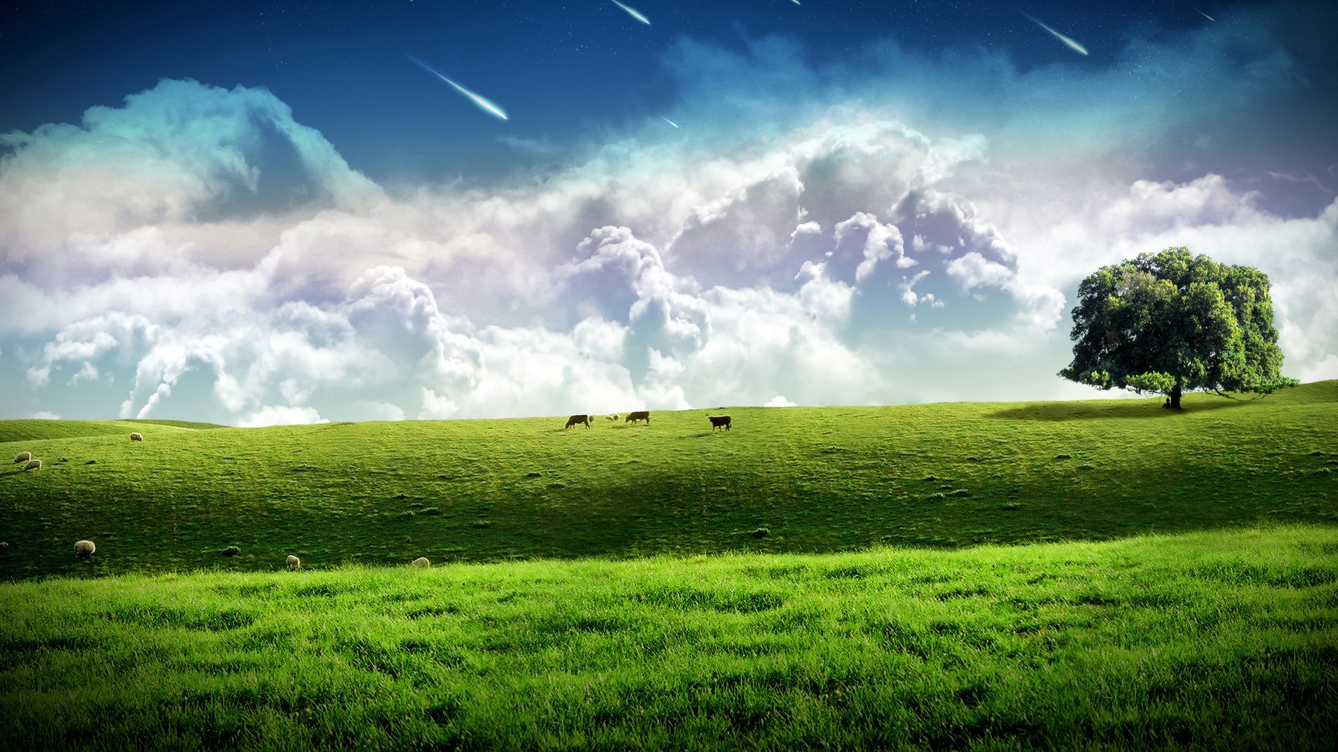 Farm Background - HD Wallpaper 