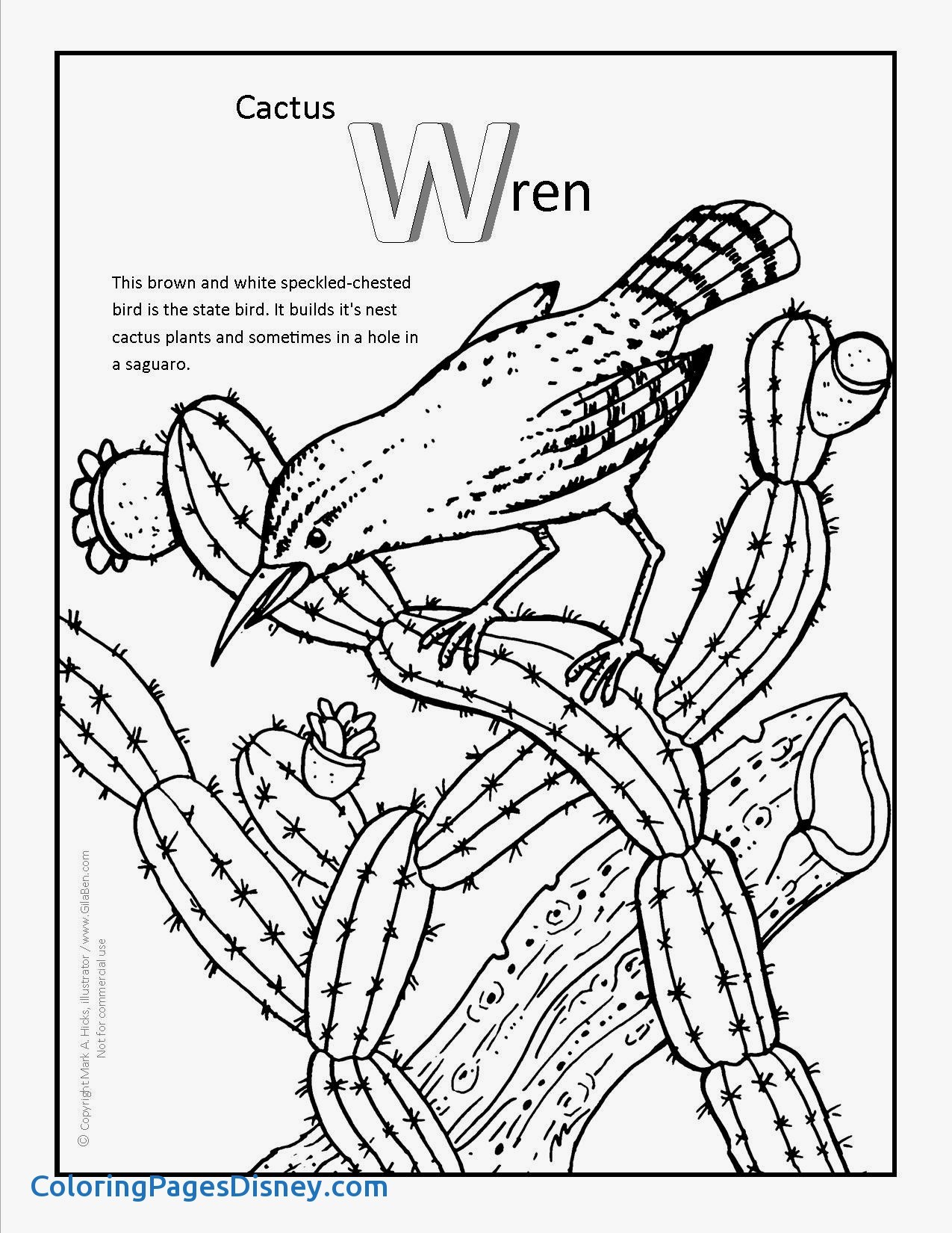 Download Coloring Book 1275x1650 Wallpaper Teahub Io