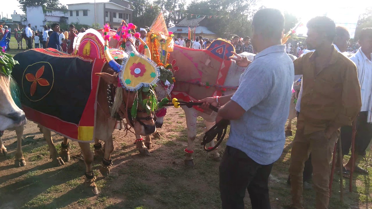 Parade - HD Wallpaper 