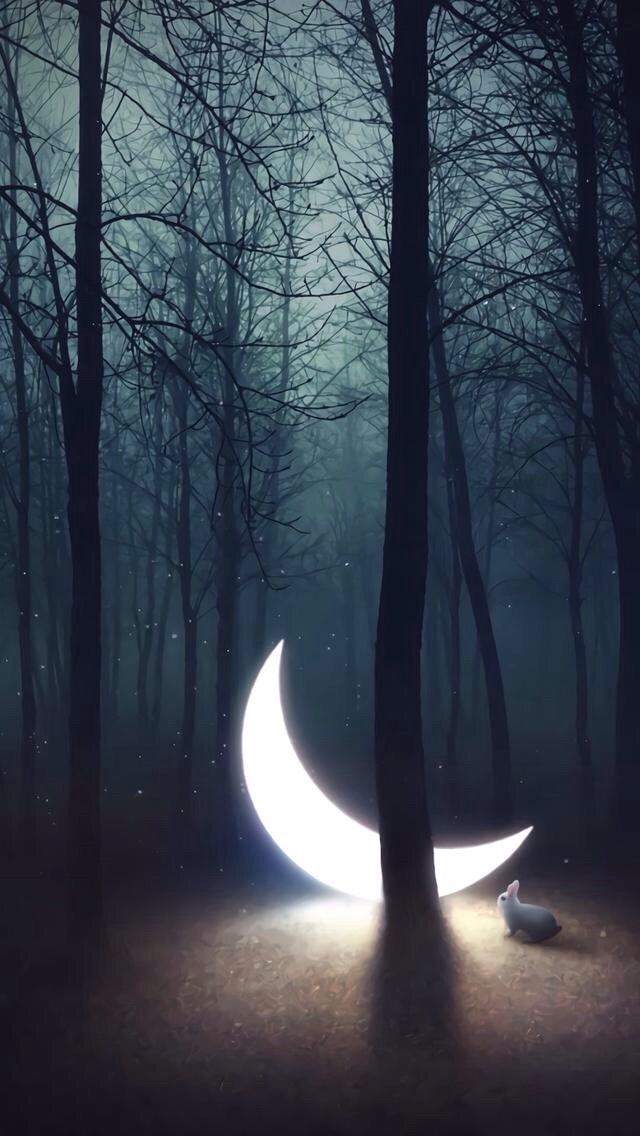 Moon, Tree, And Night Image - La Luna A Tus Pies - HD Wallpaper 
