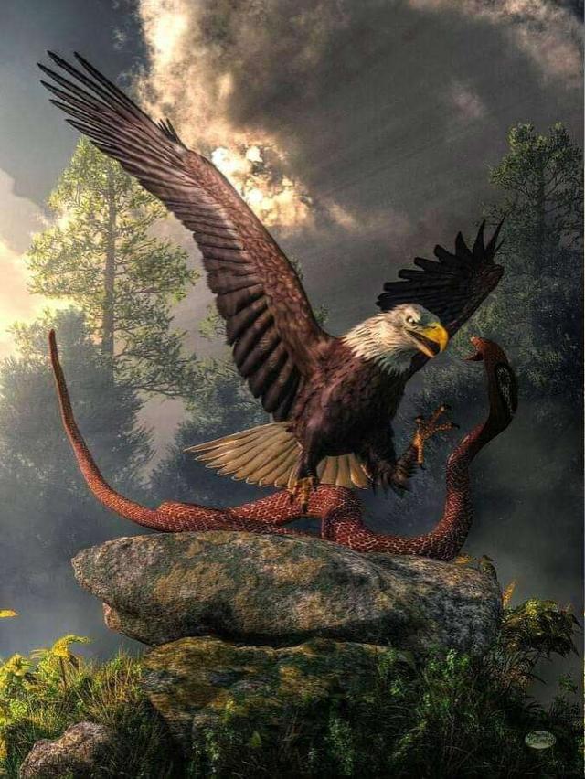 Eagle Vs Snake Art - 640x852 Wallpaper 
