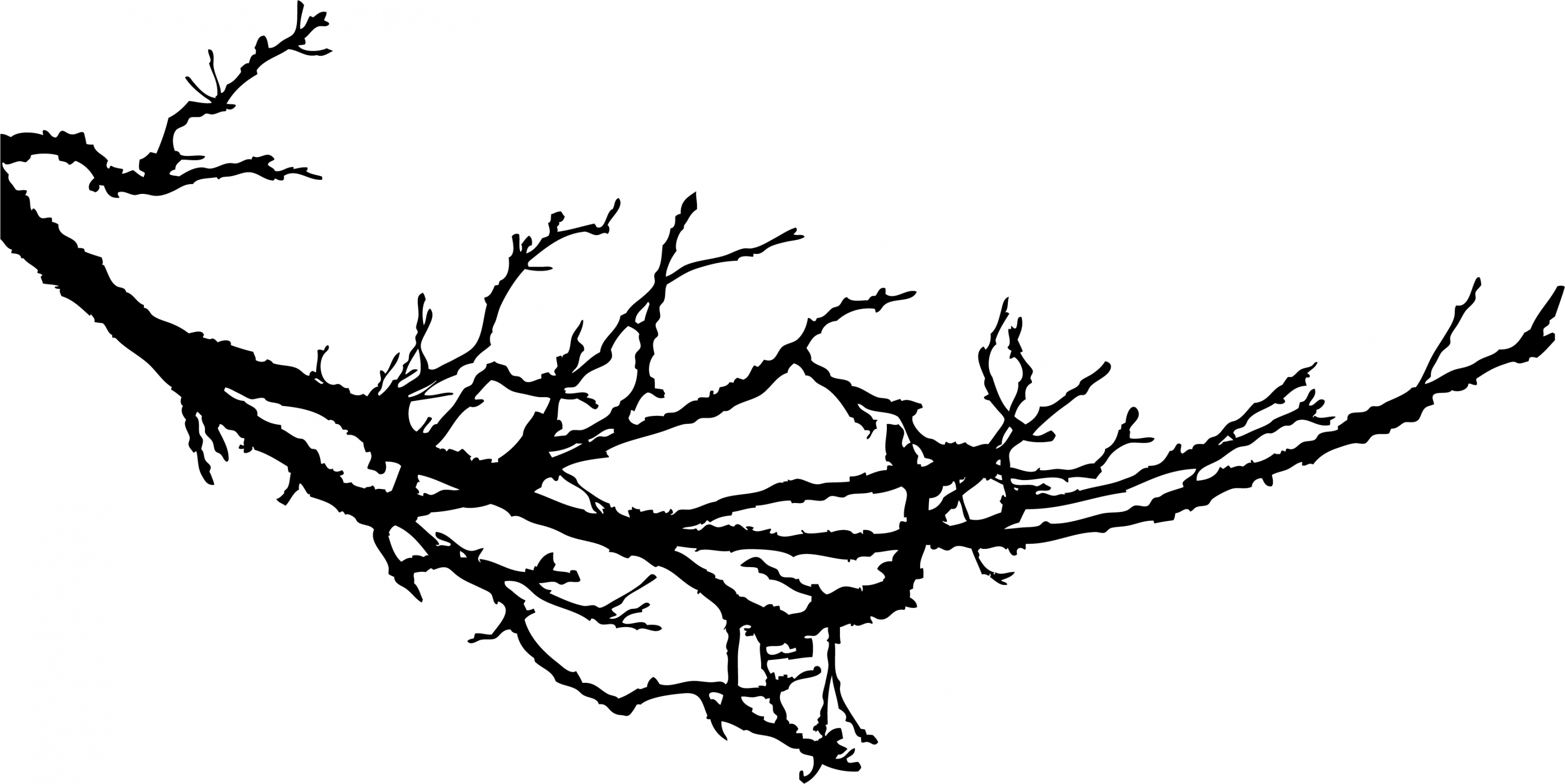 Tree Branch Vector Wallpaper High Quality - Dead Tree Branches Silhouette - HD Wallpaper 
