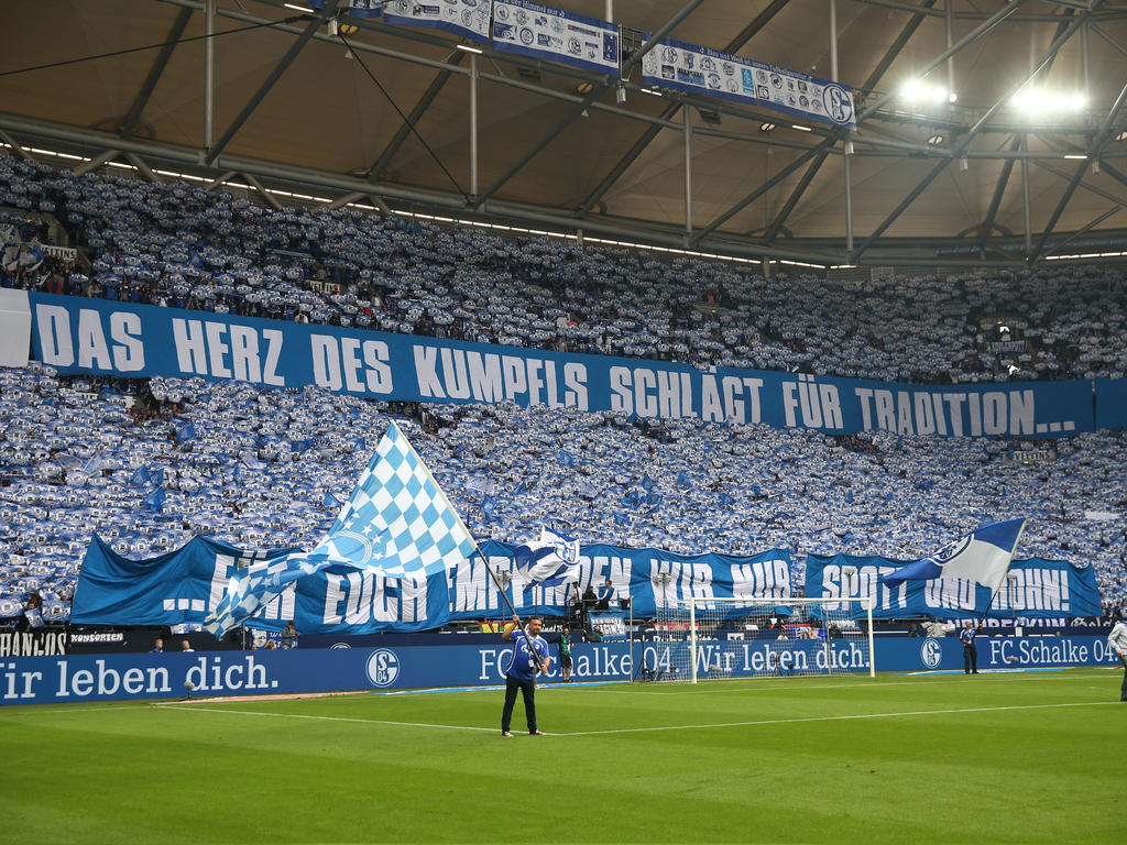 Schalke 04 Sahnt Mit Einem Neuen Sponsorendeal Millionen - Schalke Fans - HD Wallpaper 