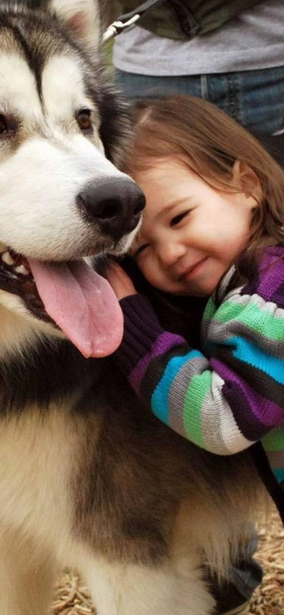 Malamute Kids - HD Wallpaper 