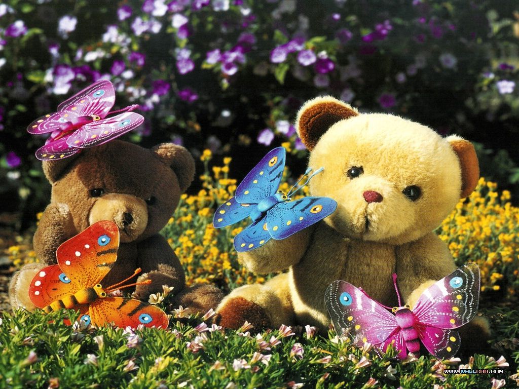 Teddy Bear Photos - HD Wallpaper 