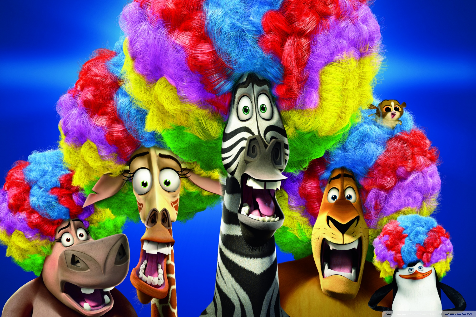 Madagascar 3 - HD Wallpaper 