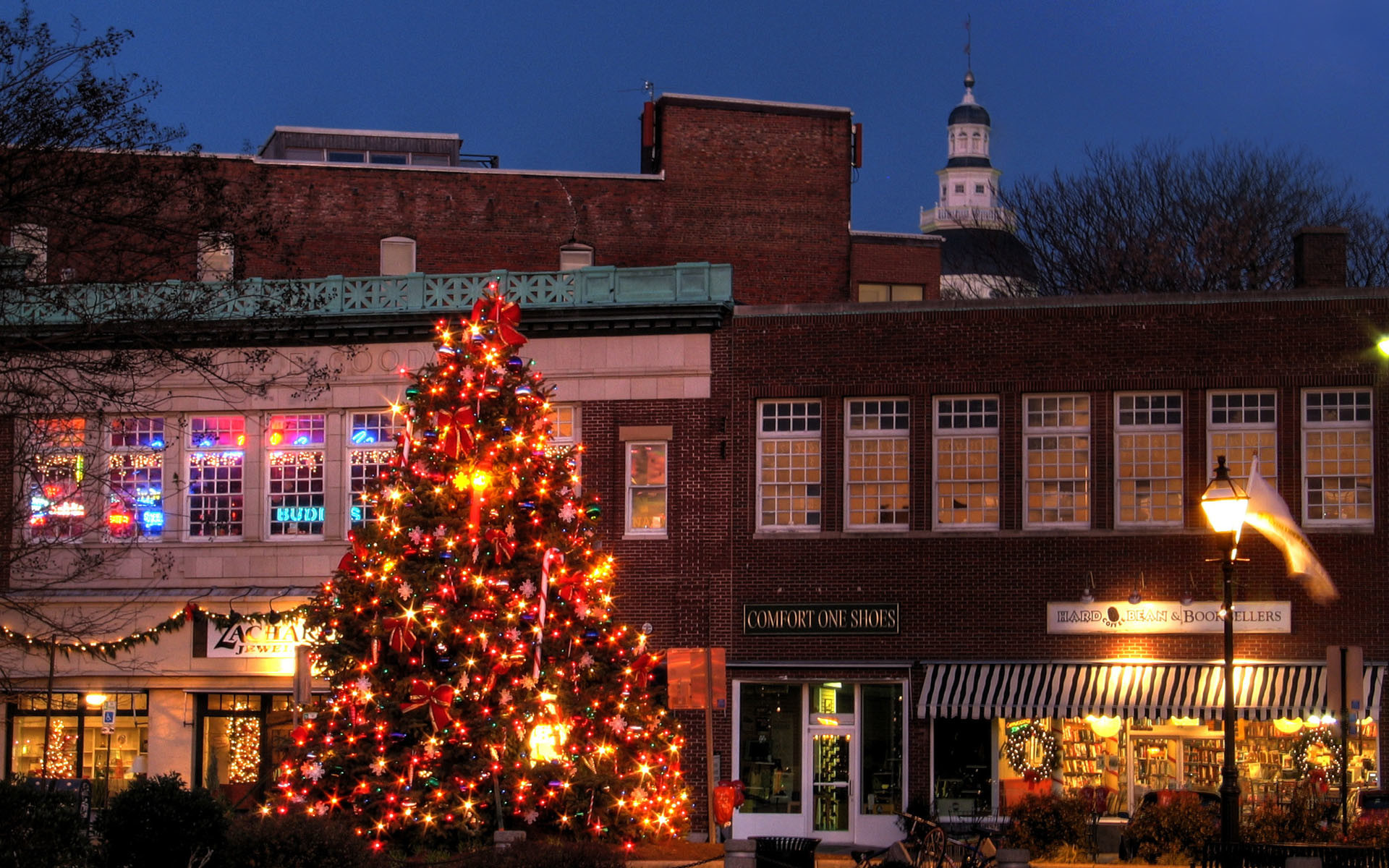 Annapolis Maryland Wallpaper - Annapolis Christmas Tree - HD Wallpaper 