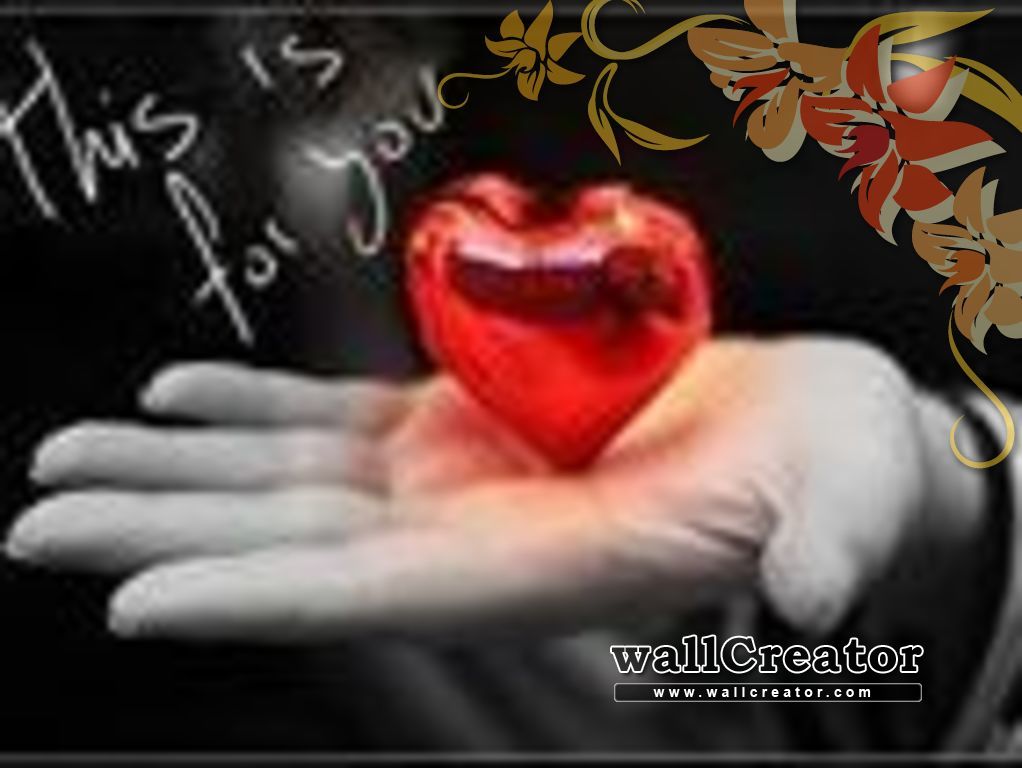 1024 / 768 Wallpaper - Park Tanguá - HD Wallpaper 