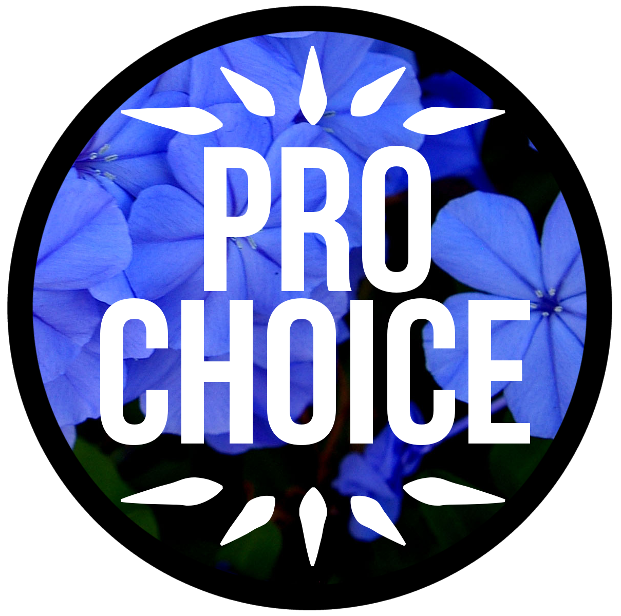 Pro Choice Quotes Tumblr Hd Pro Choice Or No Voice - Pro Choice Transparent Background - HD Wallpaper 