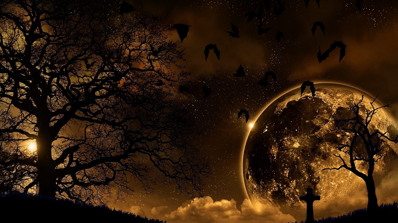 Wallpaper Trees, Nature, Night, Planet, Birds, Landscape - Night Nature Wallpaper Hd 1080p - HD Wallpaper 