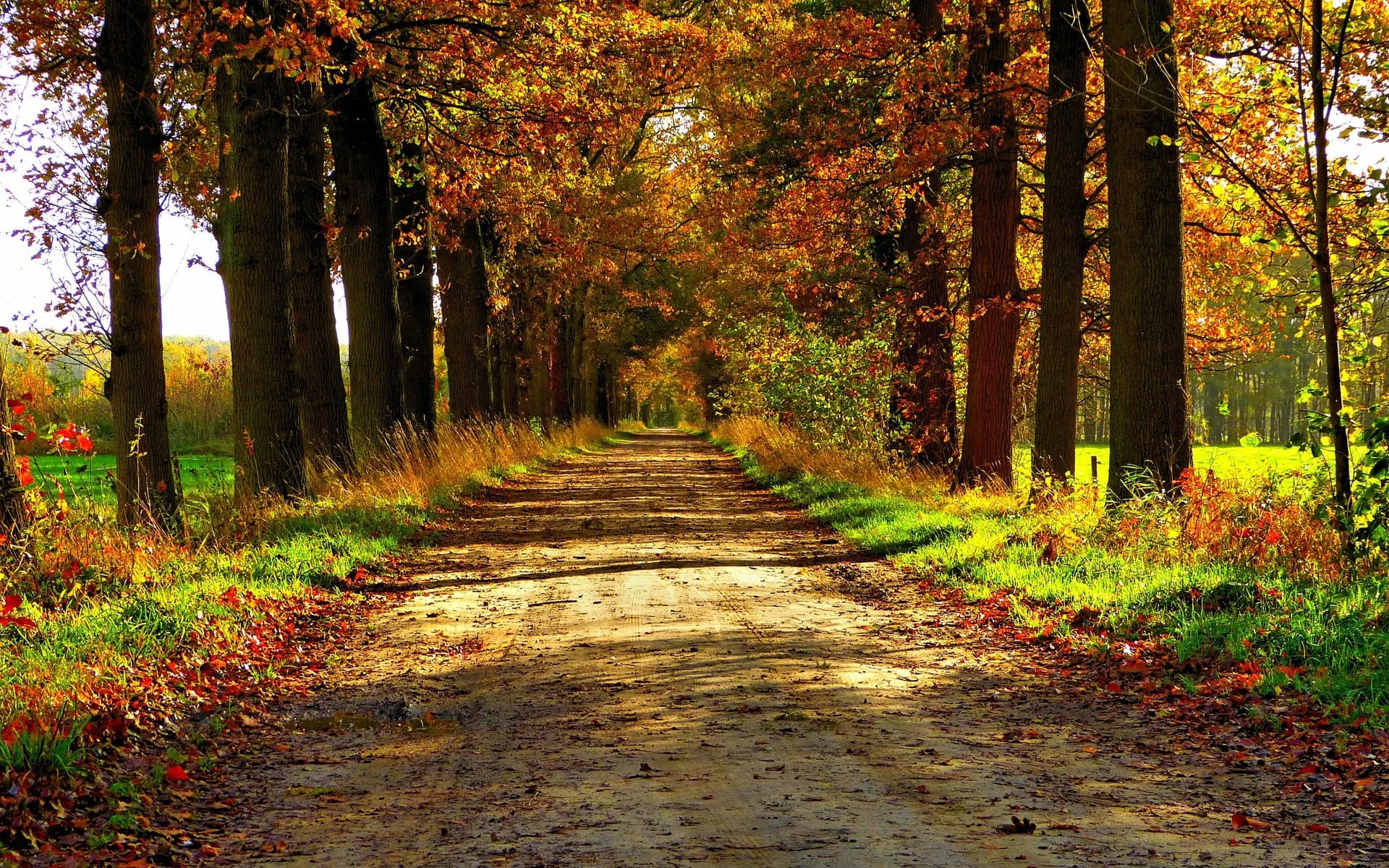 Hd Nature Wallpapers For Laptop - HD Wallpaper 