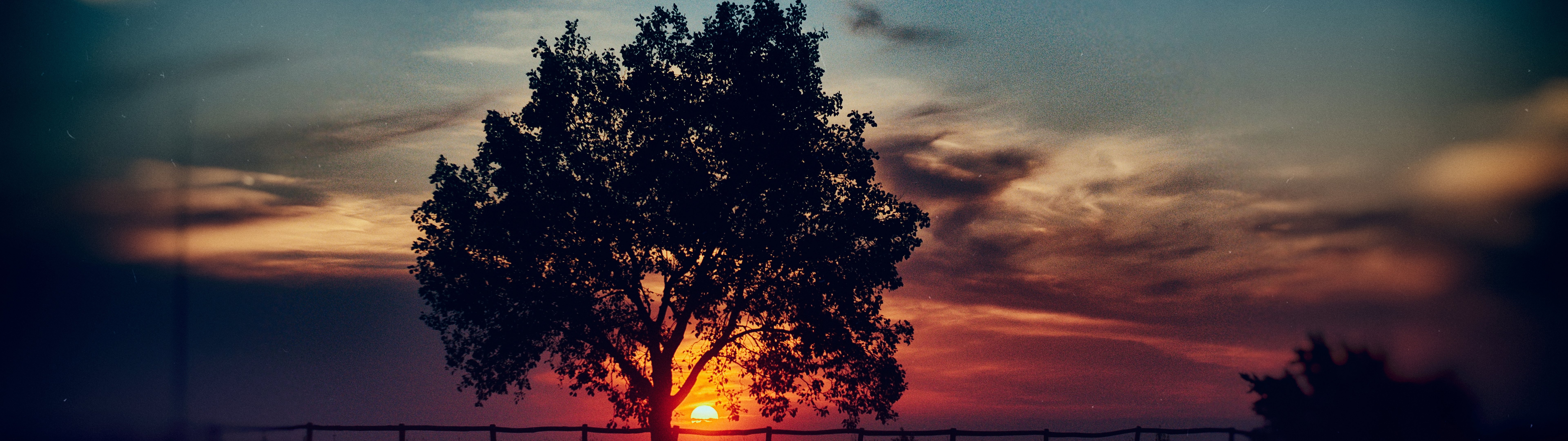 Sunset, Scenery, Tree, Landscape, Nature, 8k, 7680x4320, - Imagenes 1280 X 960 Hd - HD Wallpaper 