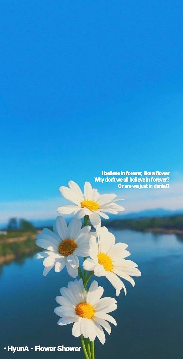 Hyuna Flower Shower Lyrics 7x1412 Wallpaper Teahub Io Hyuna Flower Shower Lyrics 7x1412 Wallpaper Teahub Io