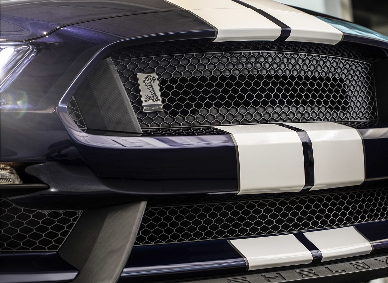 2019 Ford Mustang Shelby Gt350 Grill Wallpapers - Shelby Gt350 Grille - HD Wallpaper 