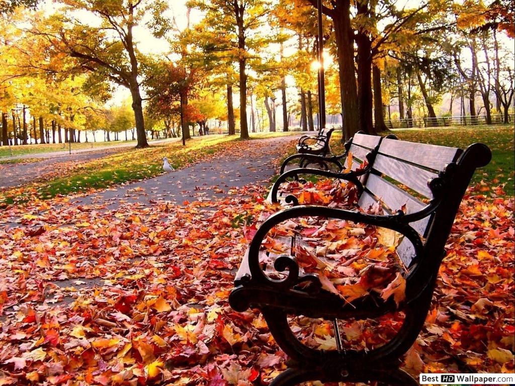 First Day Of Autumn 2019 - HD Wallpaper 