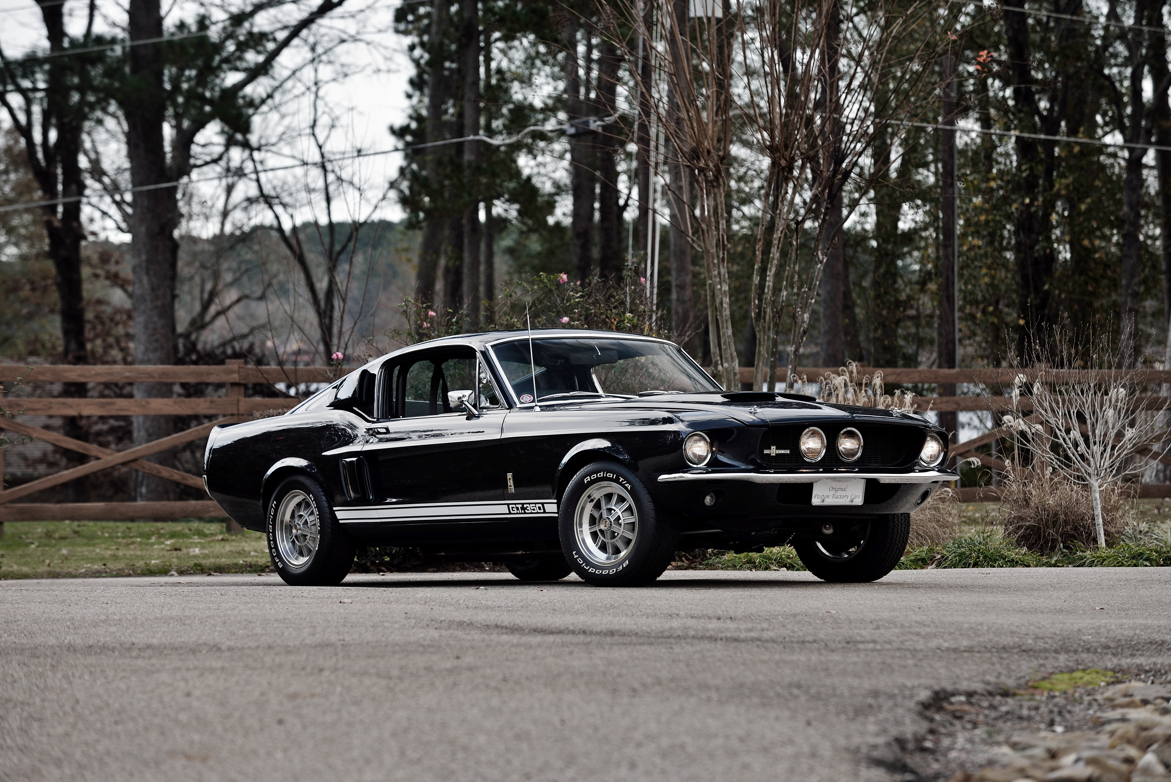 Mustang Gt350 Shelby 1967 - HD Wallpaper 