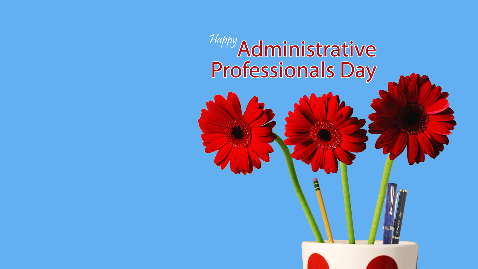 Admin Professionals Day 2018 - HD Wallpaper 