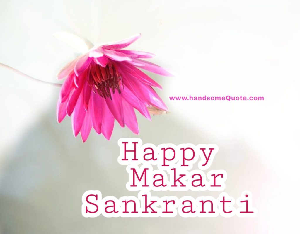 Happy Makar Sankranti Images 2020,photos, Pictures - HD Wallpaper 