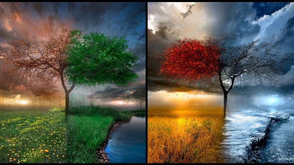 4 Seasons Wallpaper Hd - HD Wallpaper 