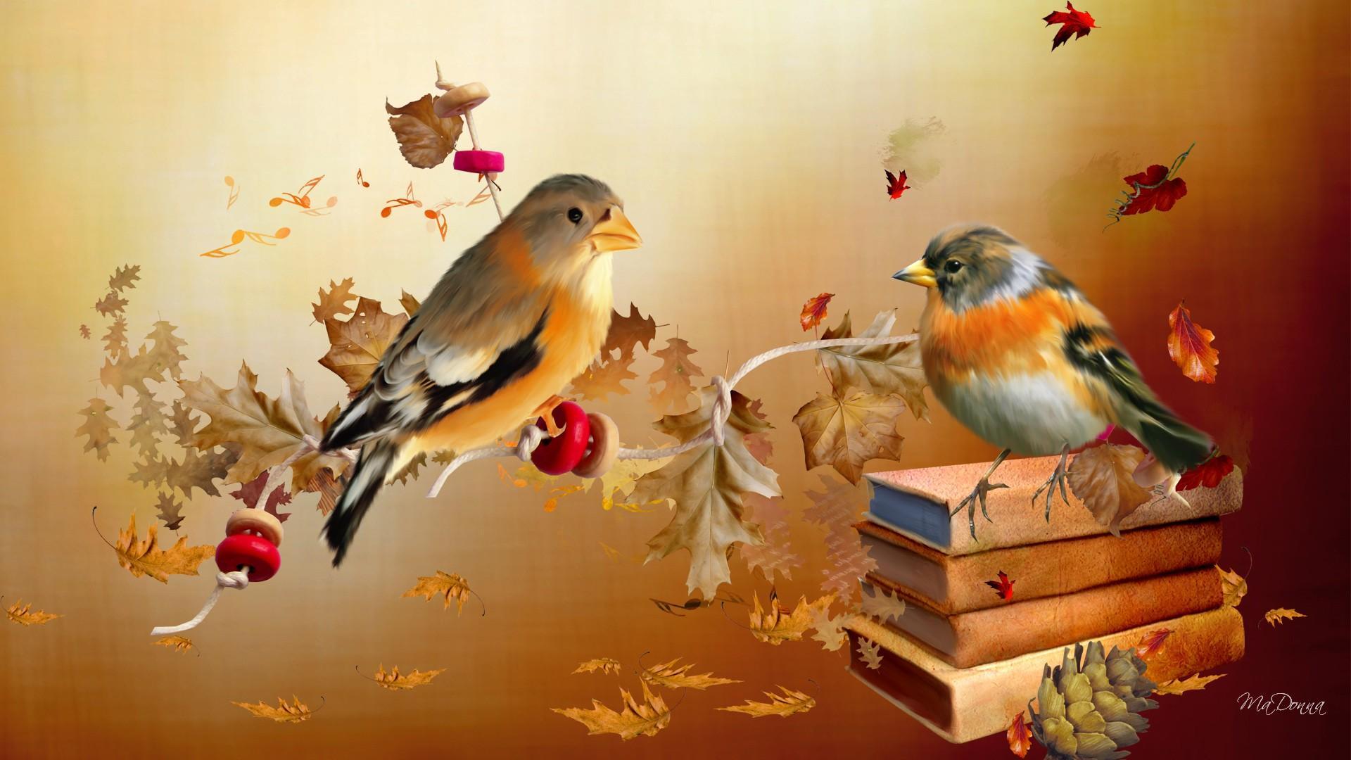 Autumn Birds - HD Wallpaper 