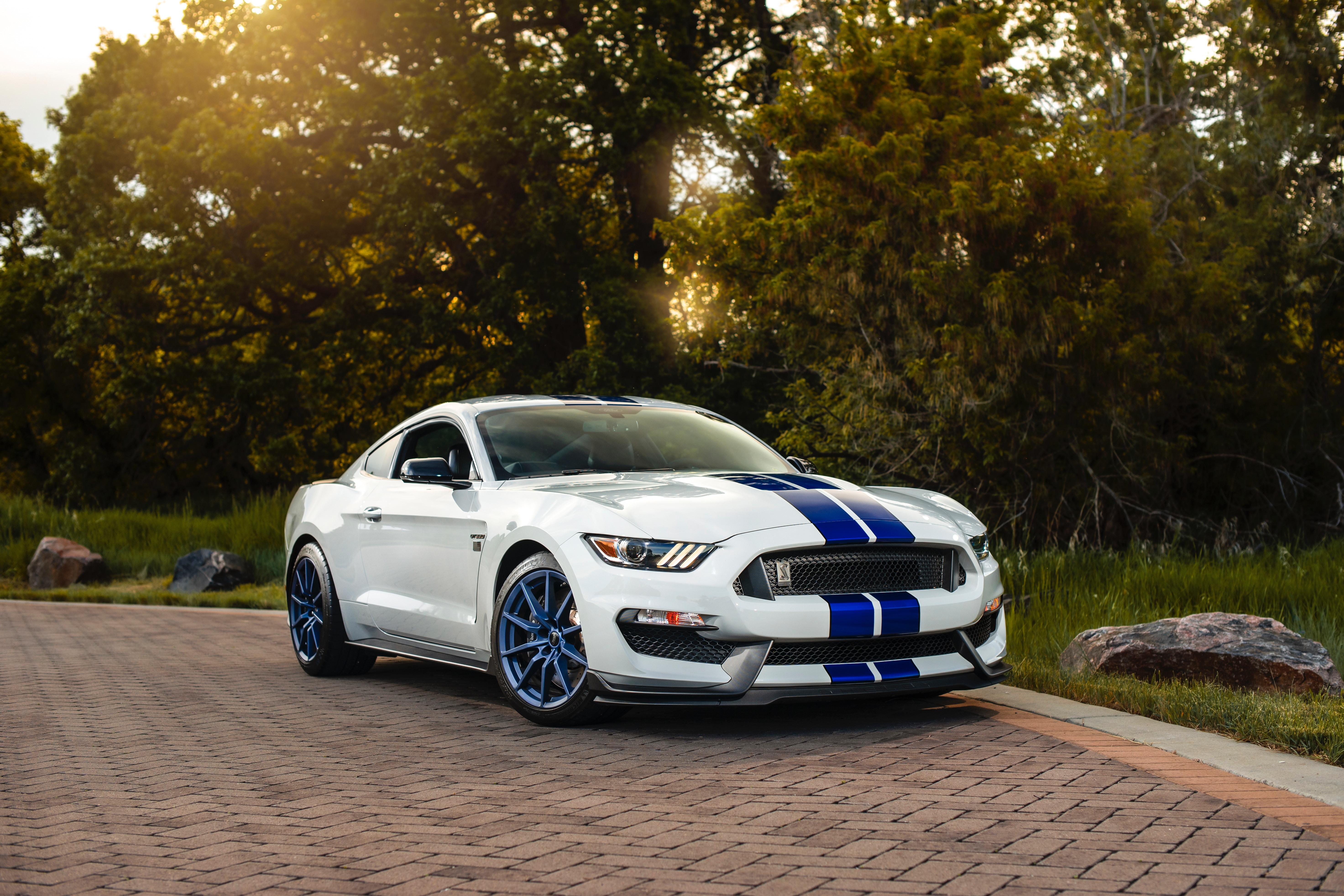 Ford Mustang Gt350, Ford, Car, Sportscar, White, Side - HD Wallpaper 