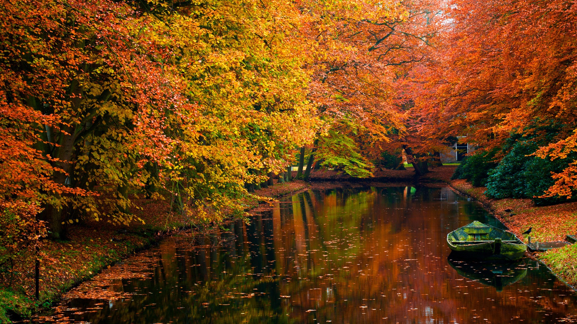 Autumn Desktop - HD Wallpaper 
