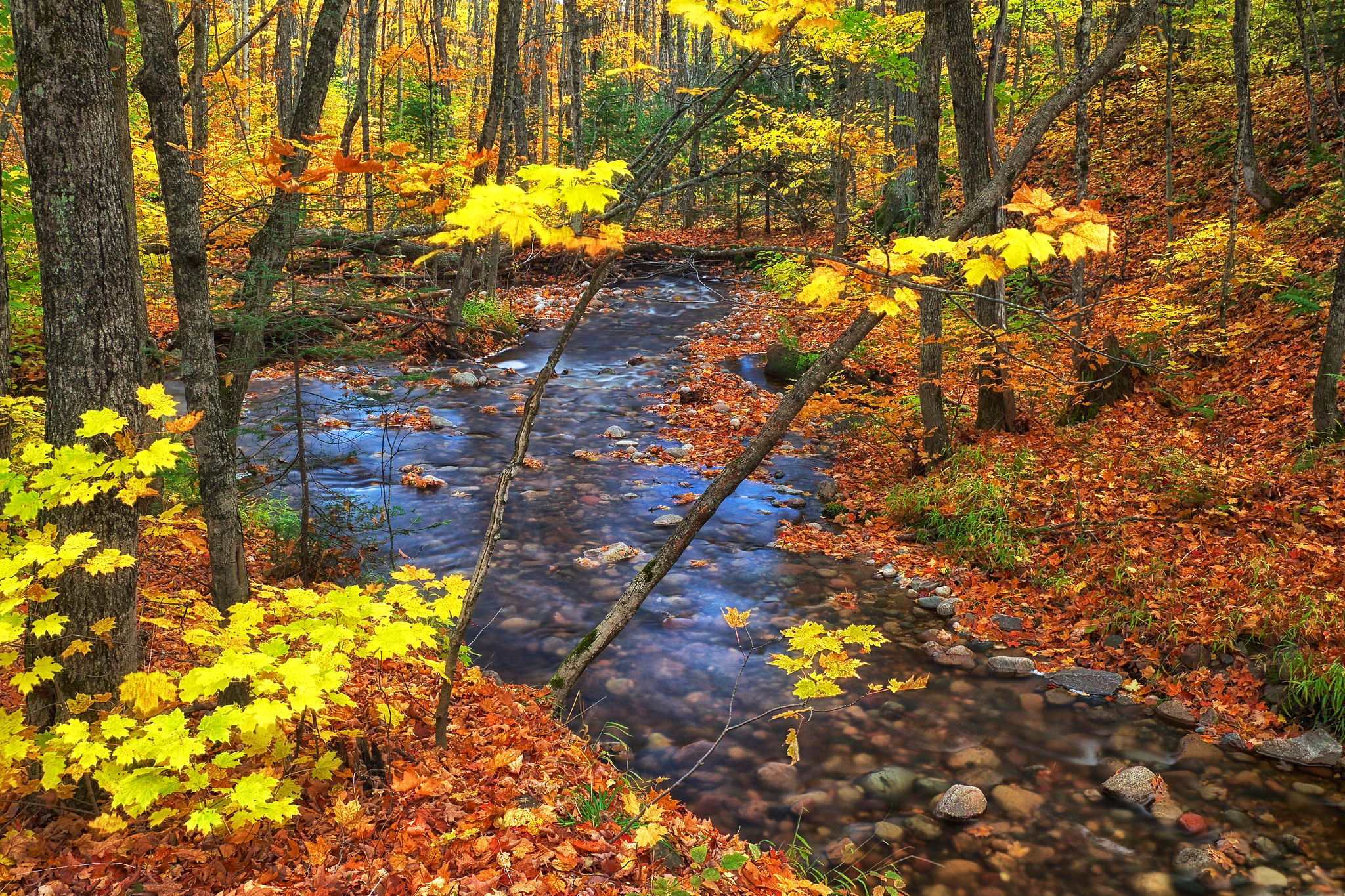 Autumn - HD Wallpaper 