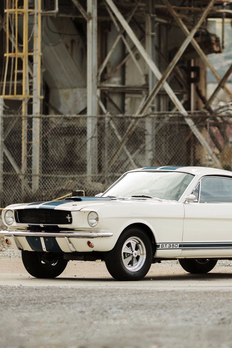 Wallpaper Shelby, Gt350, Ford Mustang, - Mustang Gt White Vintage - HD Wallpaper 