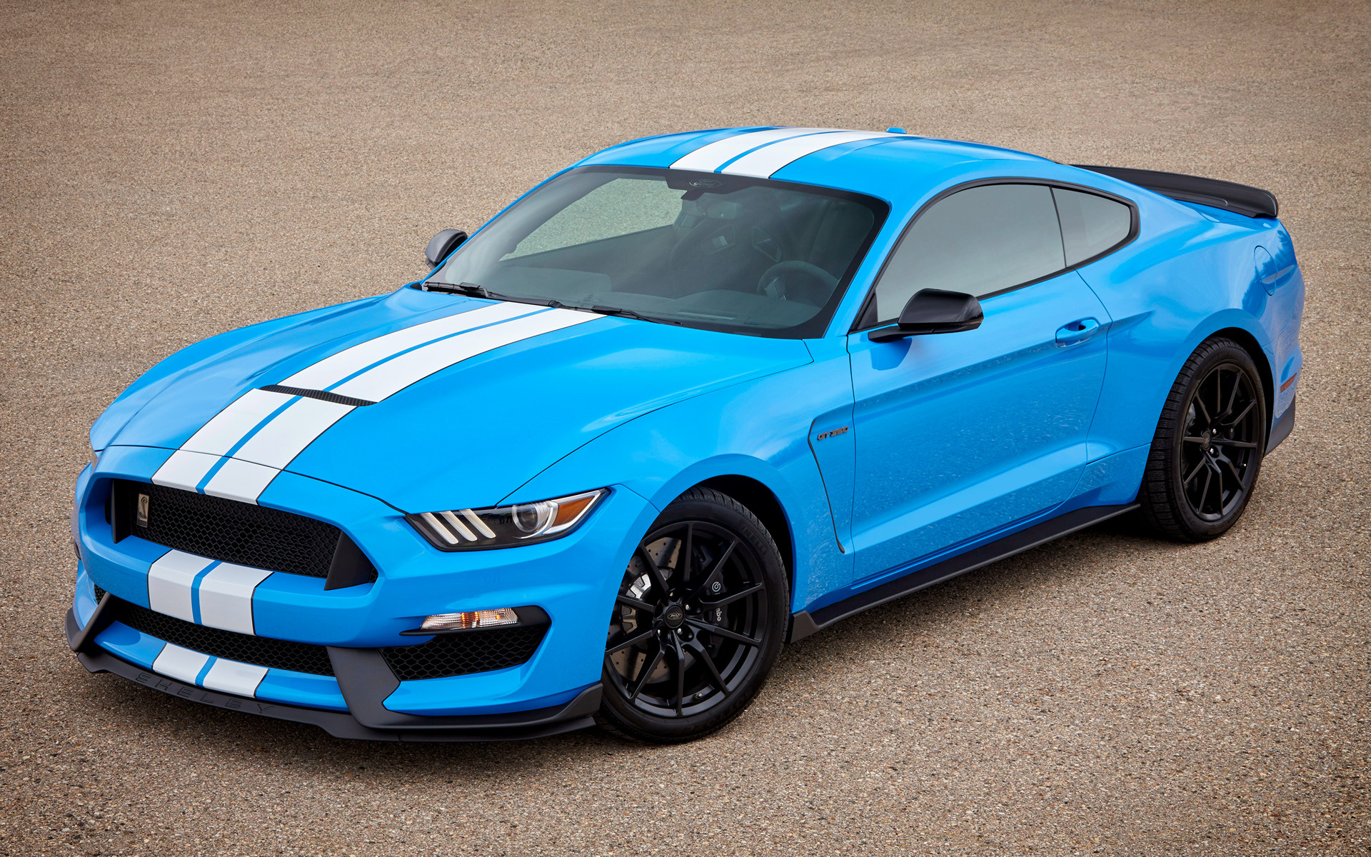 2017 Shelby - HD Wallpaper 