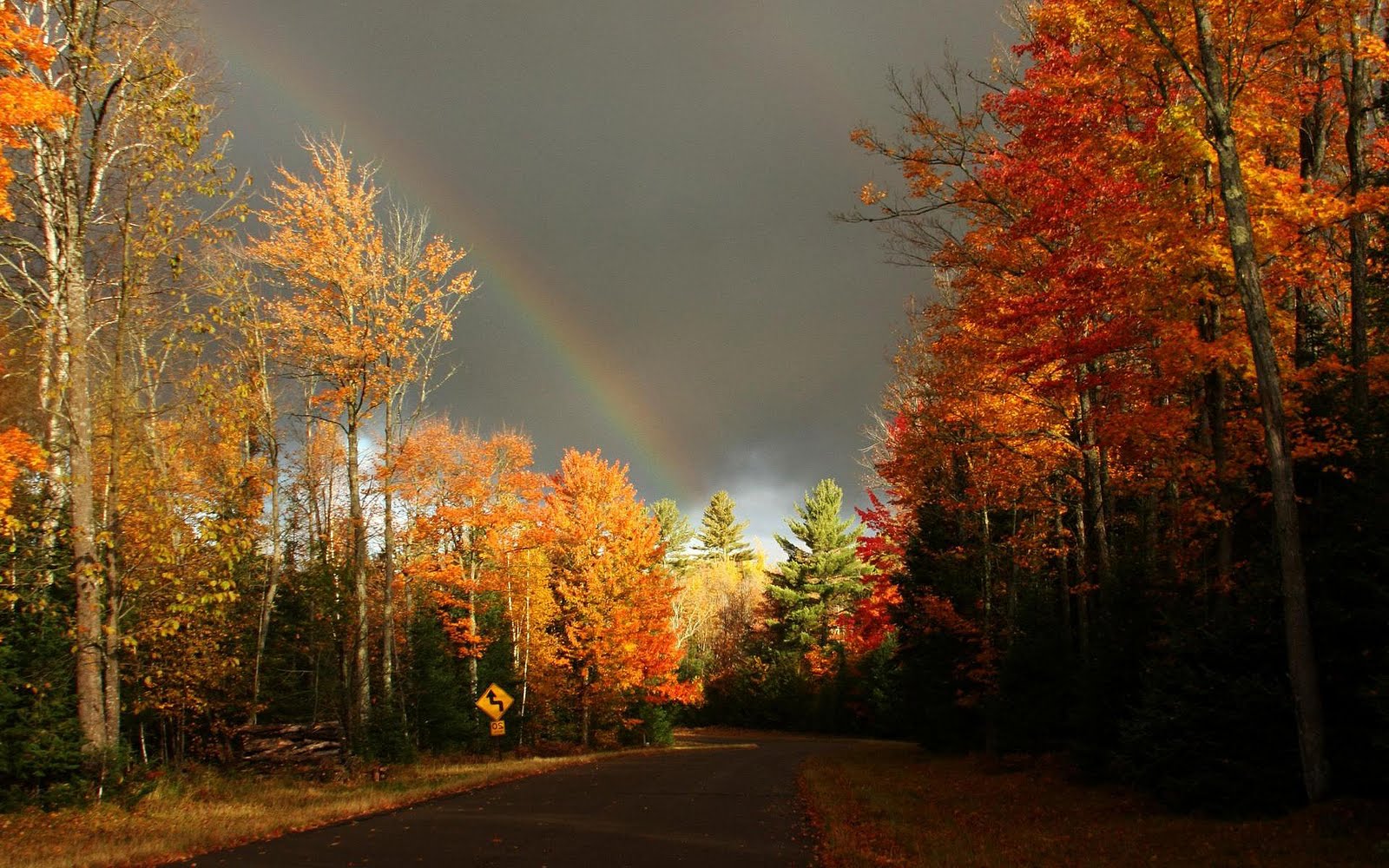 Best 3d Wallpapers For Desktop Rainbow In Autumn - HD Wallpaper 
