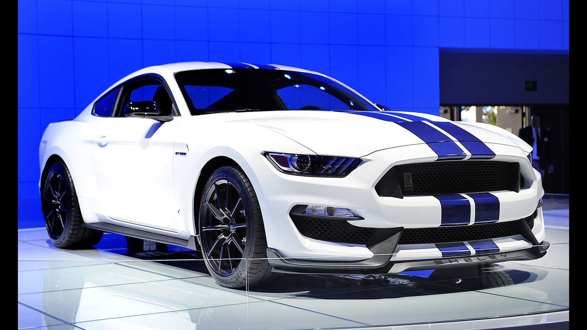 Ford Mustang Shelby Gt350 2016 High Definition Wallpapers - HD Wallpaper 