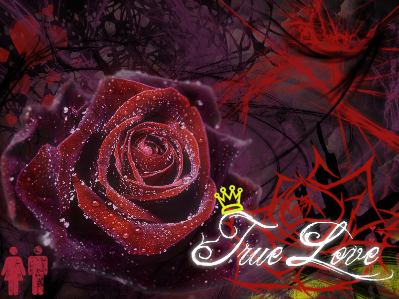 Love Cartoon True Free Spot 584865 Wallpaper Wallpaper - 3d Wallpaper New Love - 800x600 Wallpaper Love Cartoon True Free Spot 584865 Wallpaper Wallpaper - 3d Wallpaper New Love - 800x600 Wallpaper