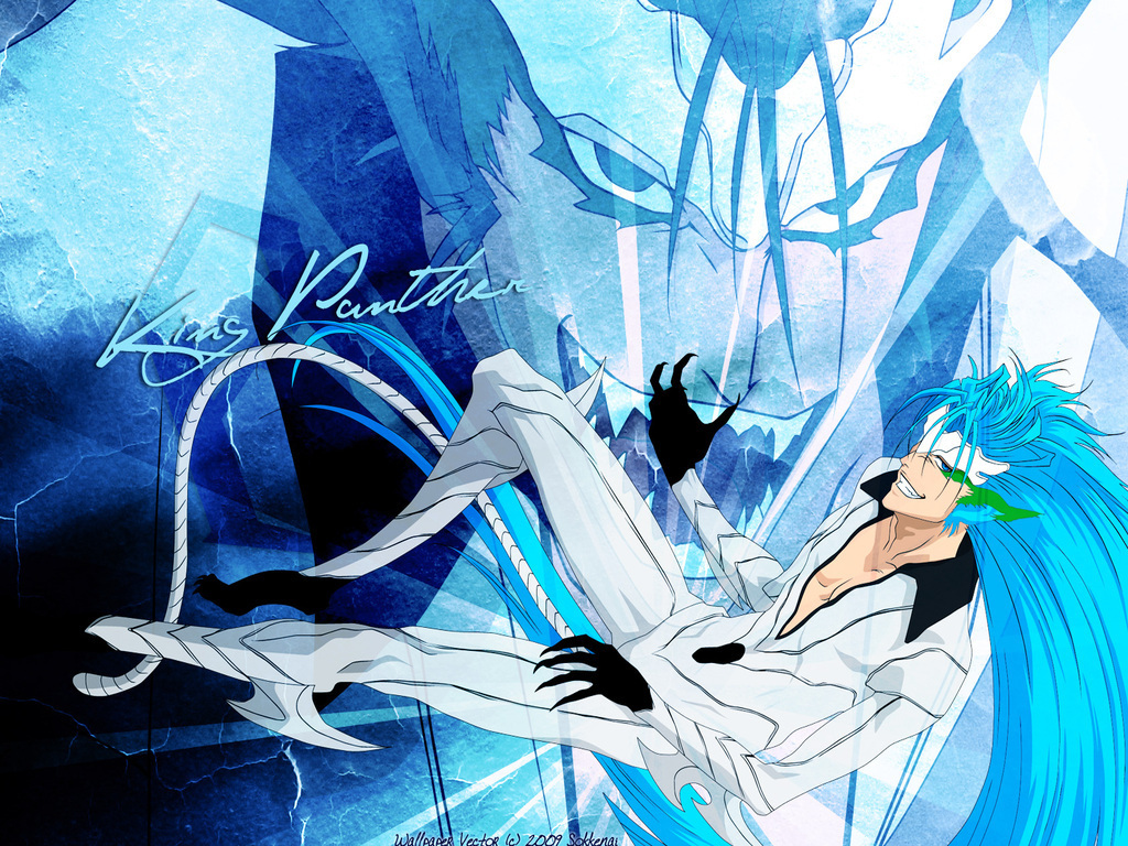 Bleach - Grimmjaw - Gallery - Bleach Espada Grimmjow - HD Wallpaper 