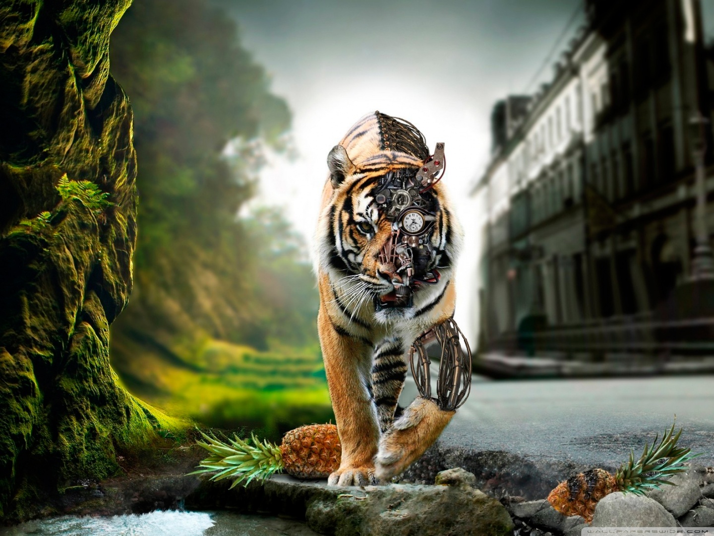 Adršpach-teplice Rocks - HD Wallpaper 