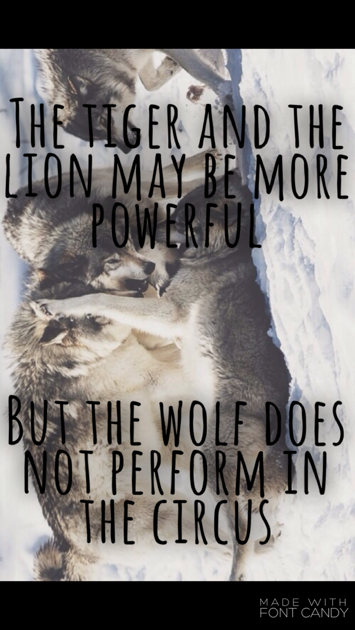 Lion Quote The Tiger And The Lion May Be More Powerful, - Wolf Quote Wallpaper Iphone - 721x1280 Wallpaper Lion Quote The Tiger And The Lion May Be More Powerful, - Wolf Quote Wallpaper Iphone - 721x1280 Wallpaper