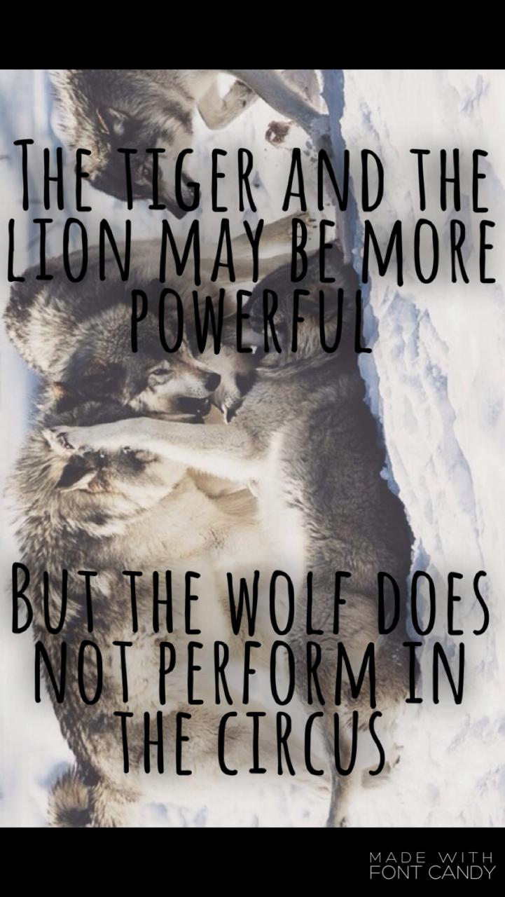 Lion Quote The Tiger And The Lion May Be More Powerful, - Wolf Quote Wallpaper Iphone - HD Wallpaper 