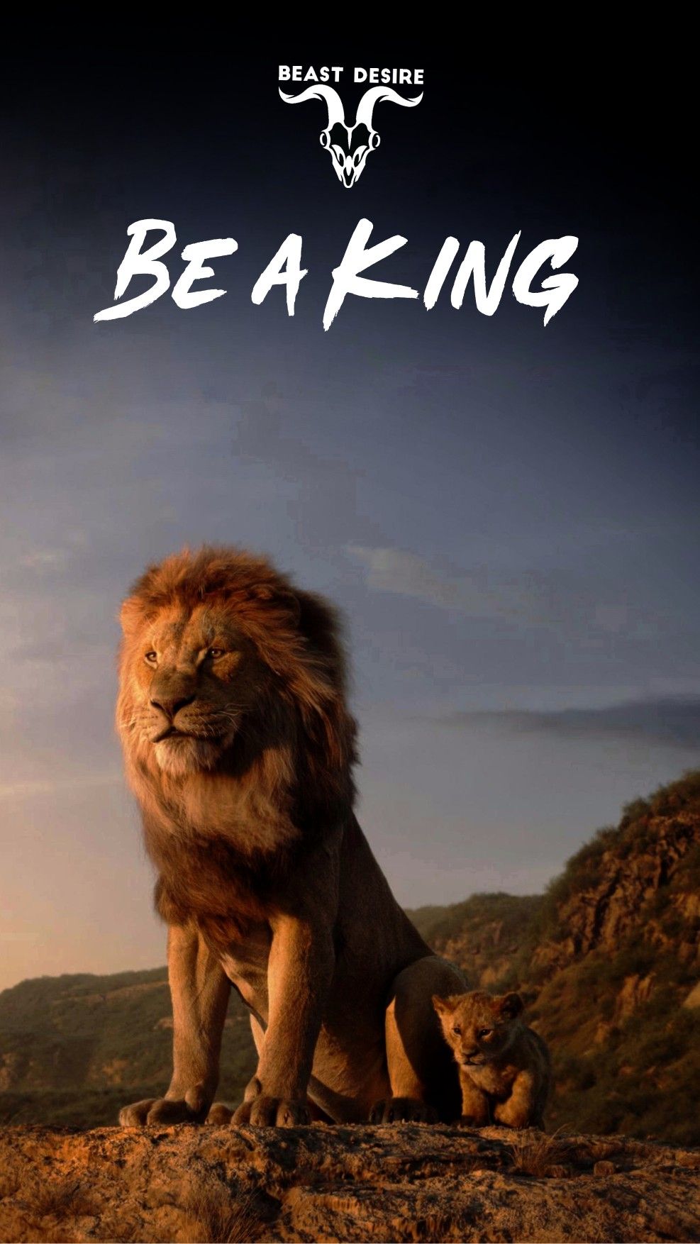 Lion King - HD Wallpaper 