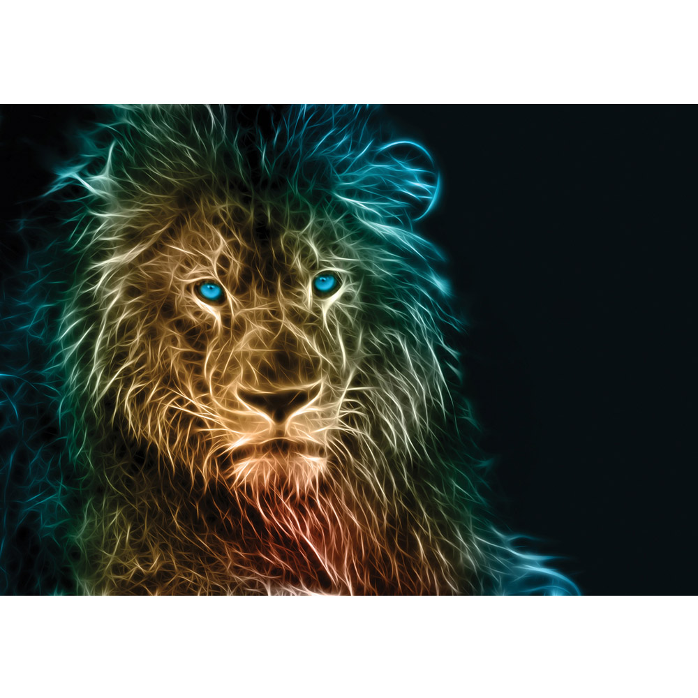Lion Animal - HD Wallpaper 