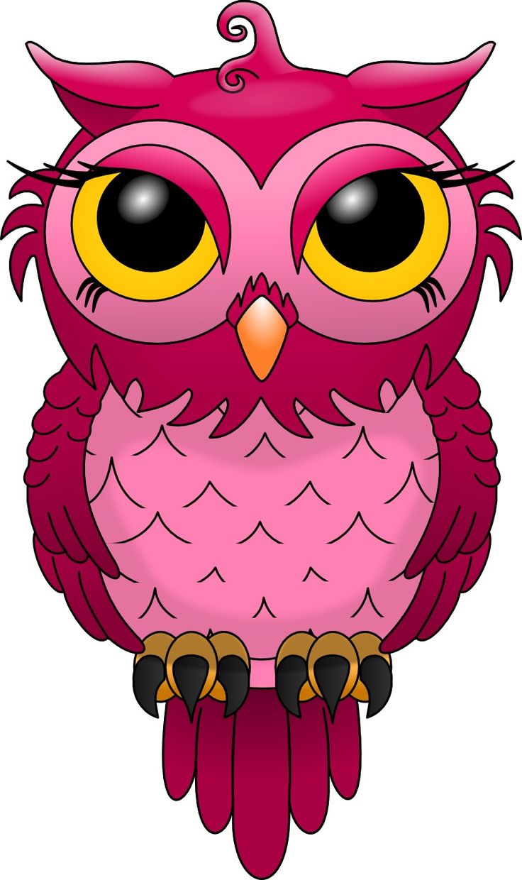 Pink Owl - HD Wallpaper 