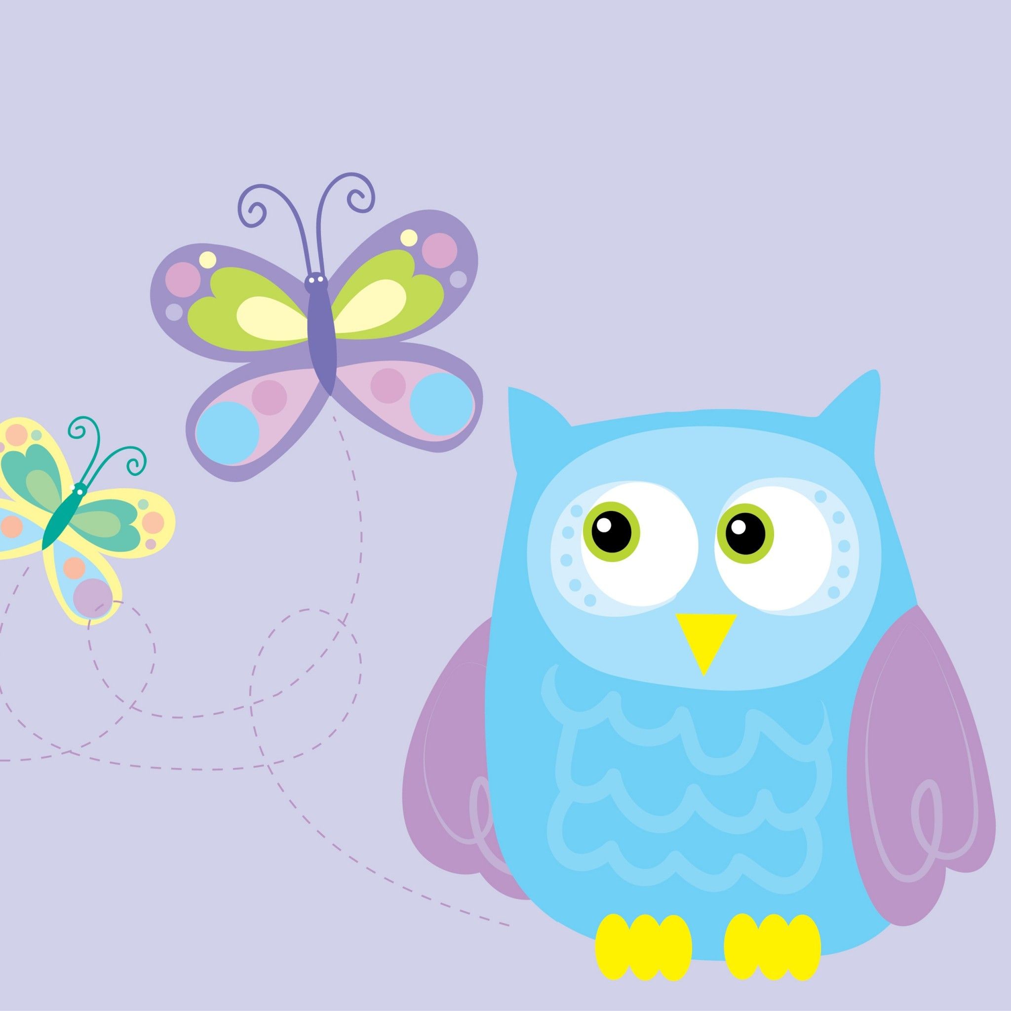 2048x2048, File Colorful Cartoon Owl Wallpaper - Baby Owl Cartoon - HD Wallpaper 