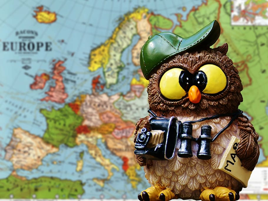 Brown And Multicolored Owl Figure, Travel, Tourist, - Owl Tourist - HD Wallpaper 