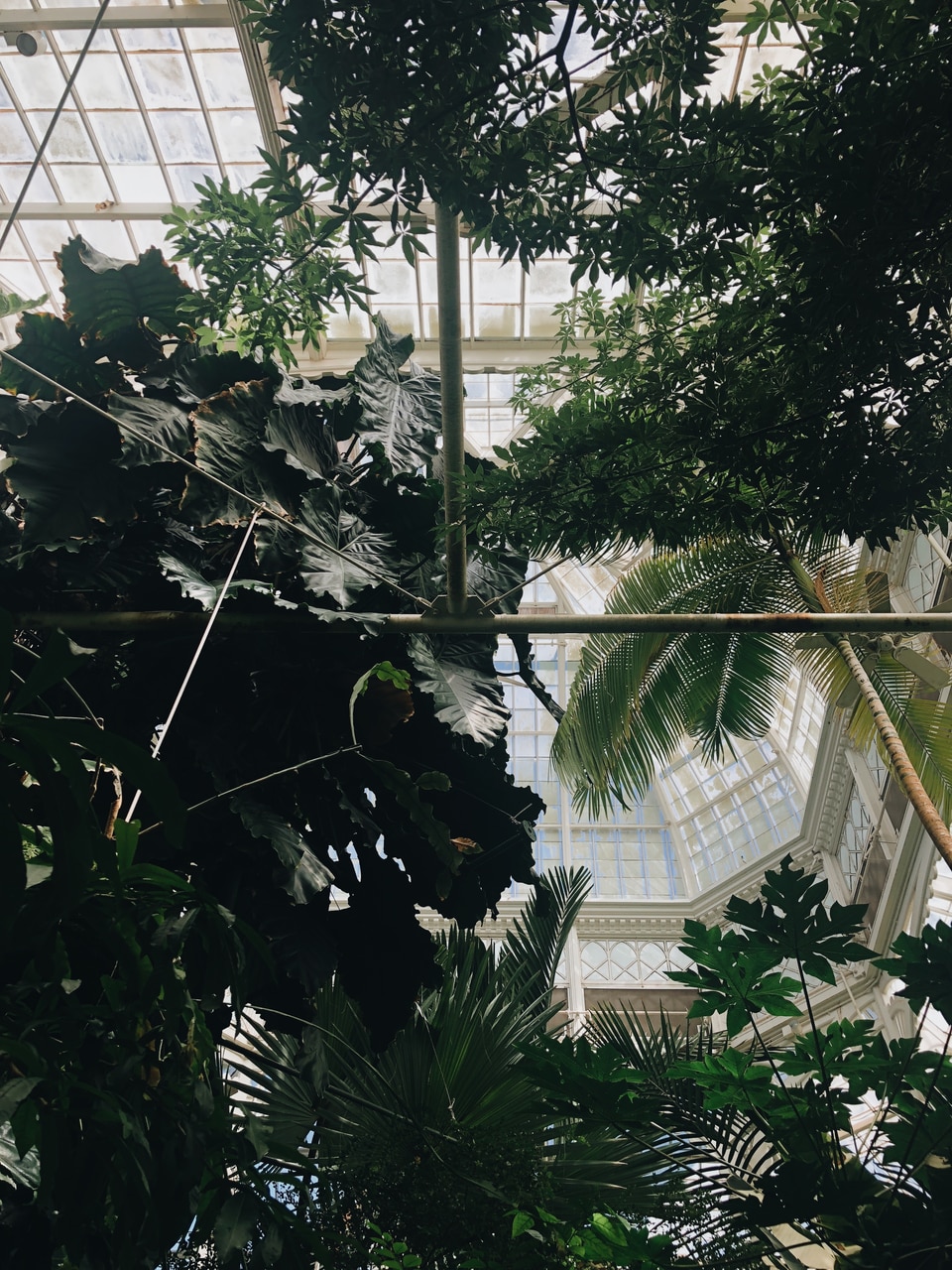 Architect, Conservatory, And Glass Image - Sabal Minor - HD Wallpaper 