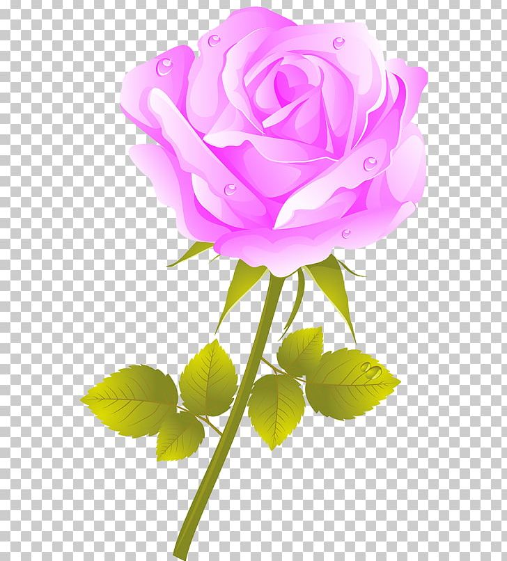 Garden Roses Cabbage Rose Flower Png, Clipart, Beach - Gold Heart Clip Art - HD Wallpaper 